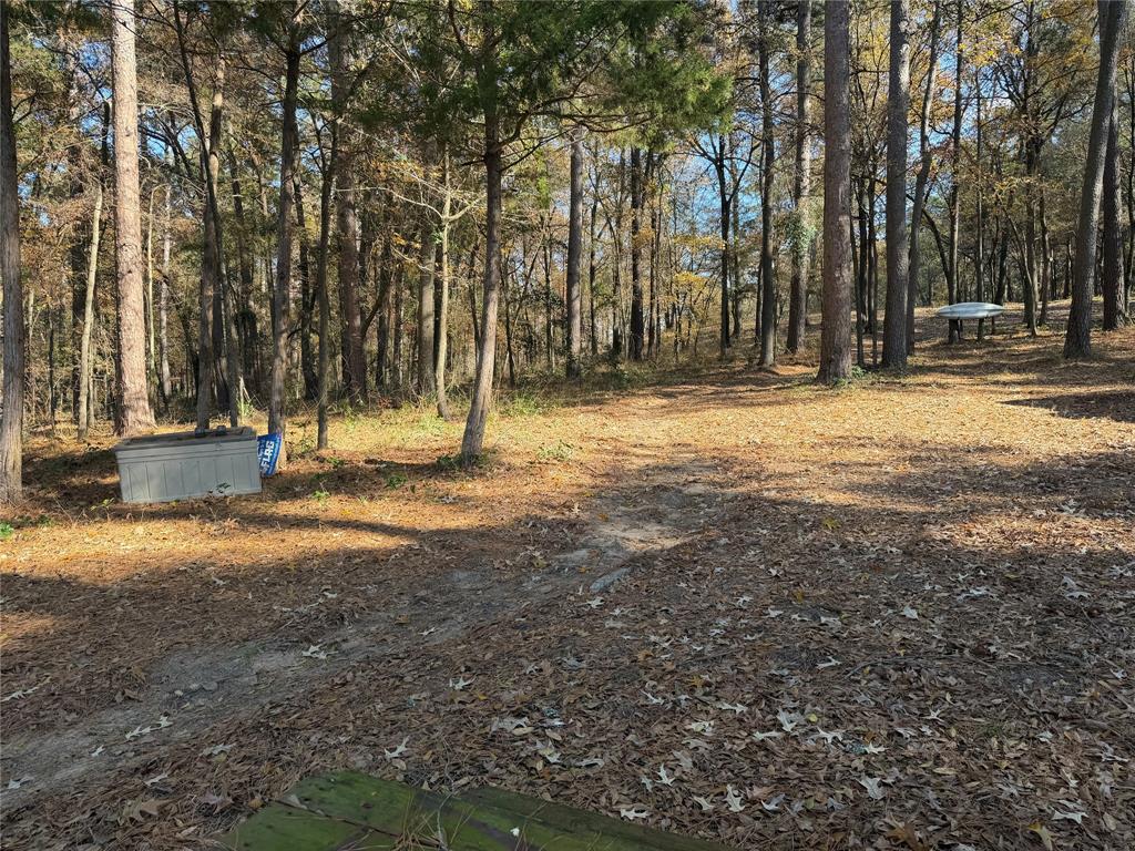 2777 County Road 4875 Pittsburg, TX 75686 - Photo 25 of 31