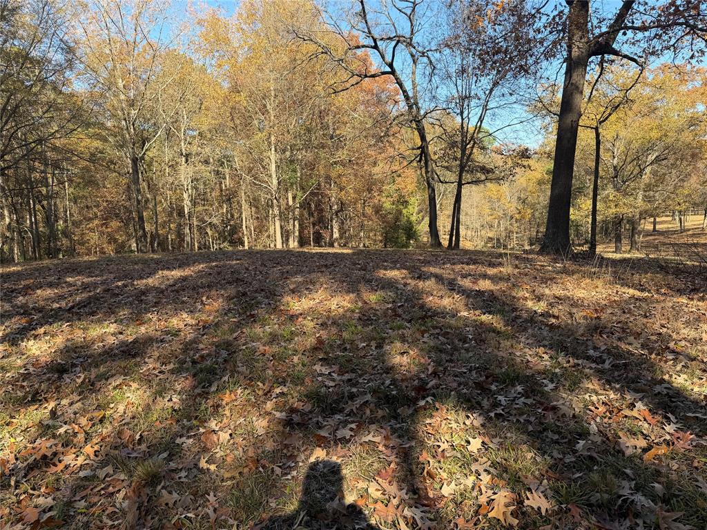 2777 County Road 4875 Pittsburg, TX 75686 - Photo 26 of 31