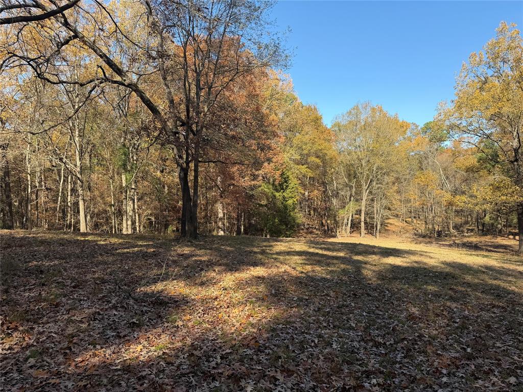 2777 County Road 4875 Pittsburg, TX 75686 - Photo 27 of 31