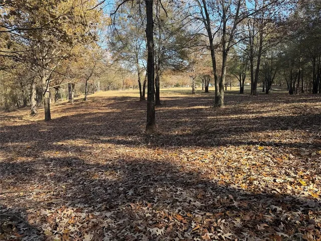 a view of dirt field with trees