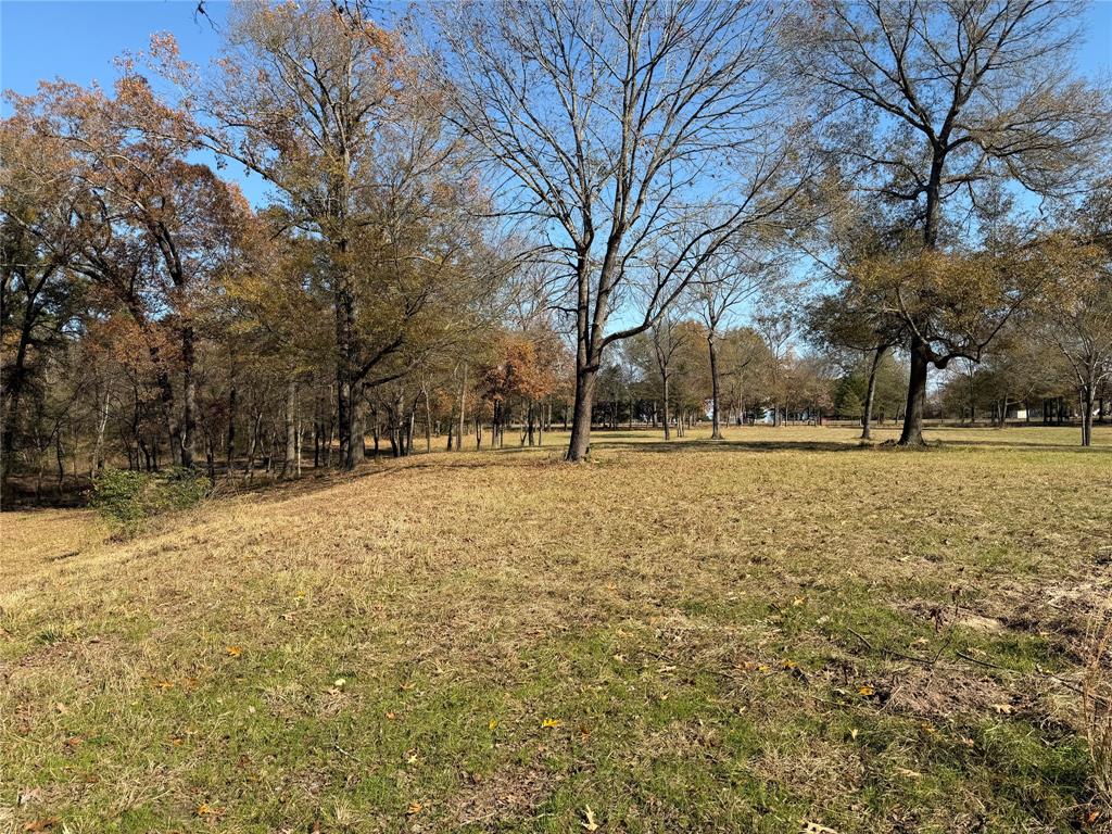 2777 County Road 4875 Pittsburg, TX 75686 - Photo 29 of 31