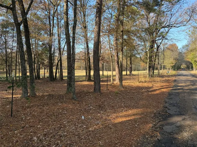 a view of outdoor space with lots of trees