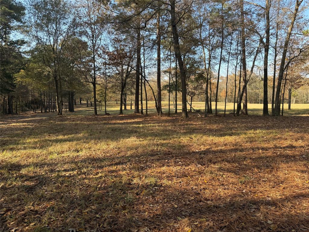 2777 County Road 4875 Pittsburg, TX 75686 - Photo 4 of 31