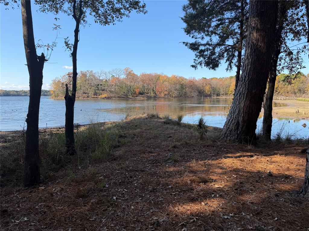 2777 County Road 4875 Pittsburg, TX 75686 - Photo 5 of 31