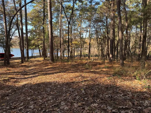 a view of outdoor space with trees