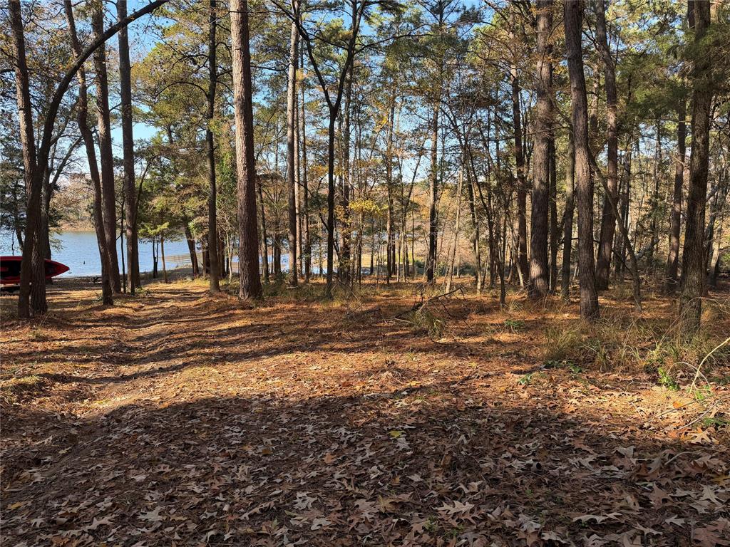 2777 County Road 4875 Pittsburg, TX 75686 - Photo 6 of 31