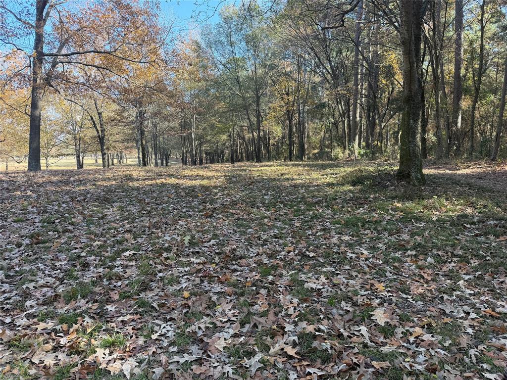 2777 County Road 4875 Pittsburg, TX 75686 - Photo 7 of 31