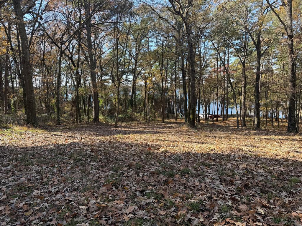 2777 County Road 4875 Pittsburg, TX 75686 - Photo 8 of 31