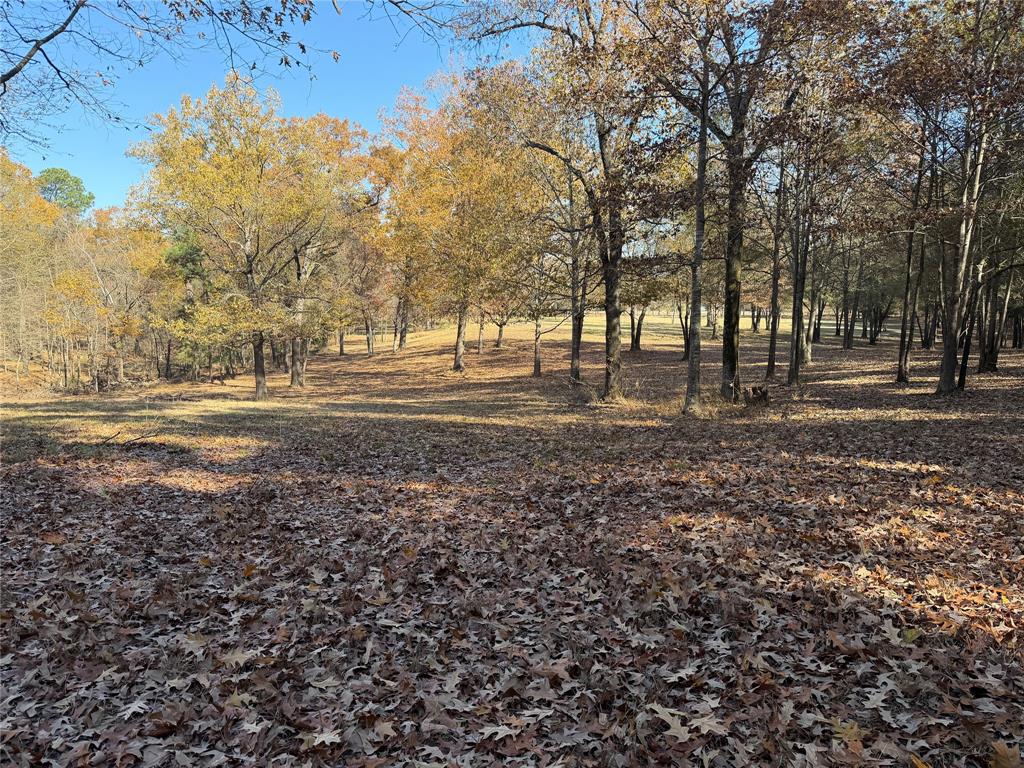 2777 County Road 4875 Pittsburg, TX 75686 - Photo 9 of 31