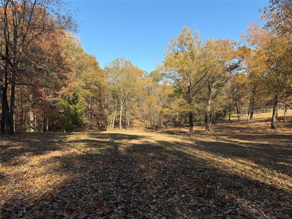 2777 County Road 4875 Pittsburg, TX 75686 - Photo 10 of 31