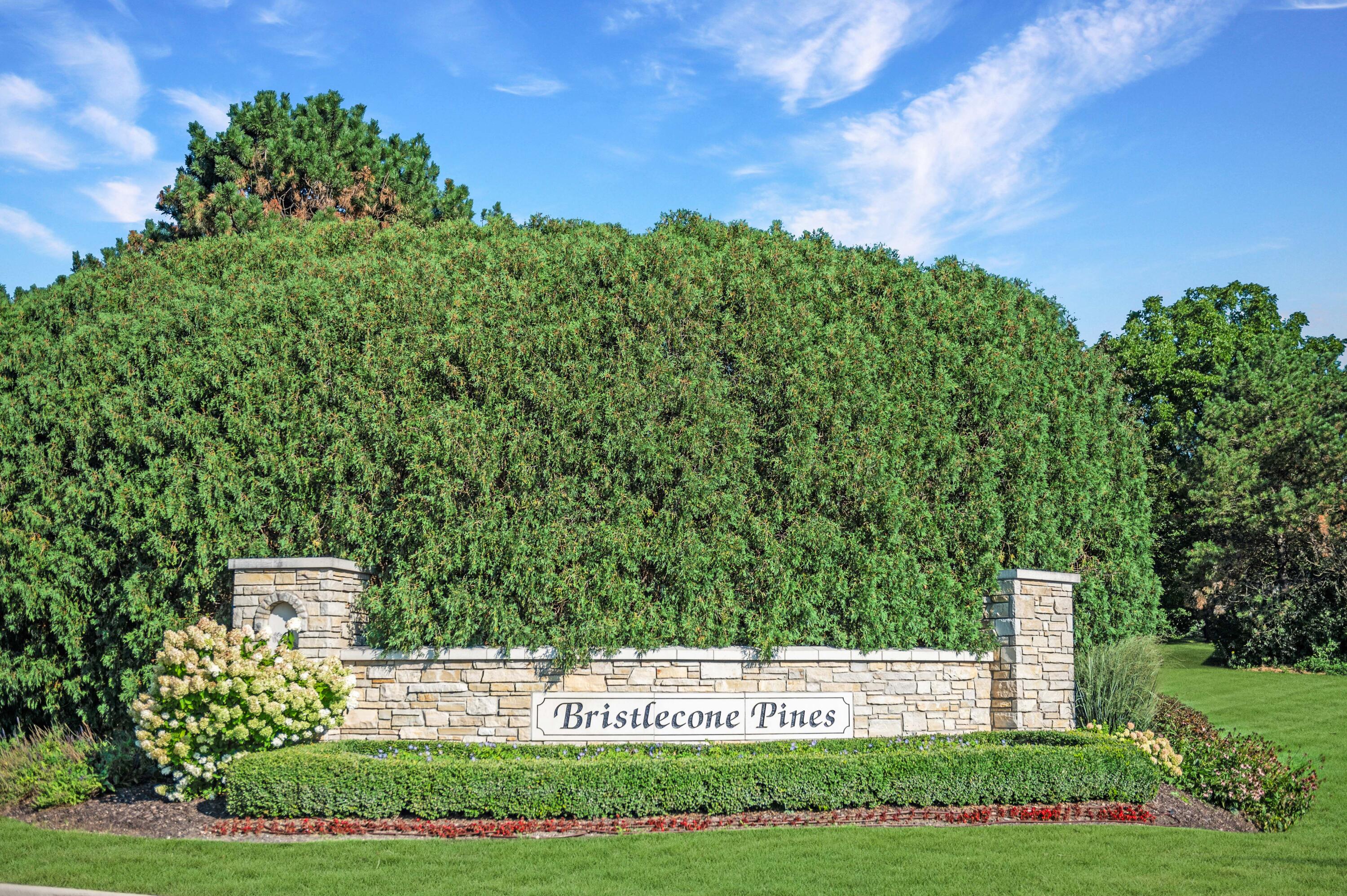 1600 Juniper Way Hartland, WI 53029 - Photo 25 of 55 Compass-Juniper-76