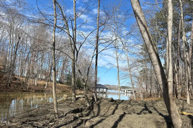 a backyard of a house with lots of trees