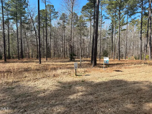 a view of outdoor space with trees