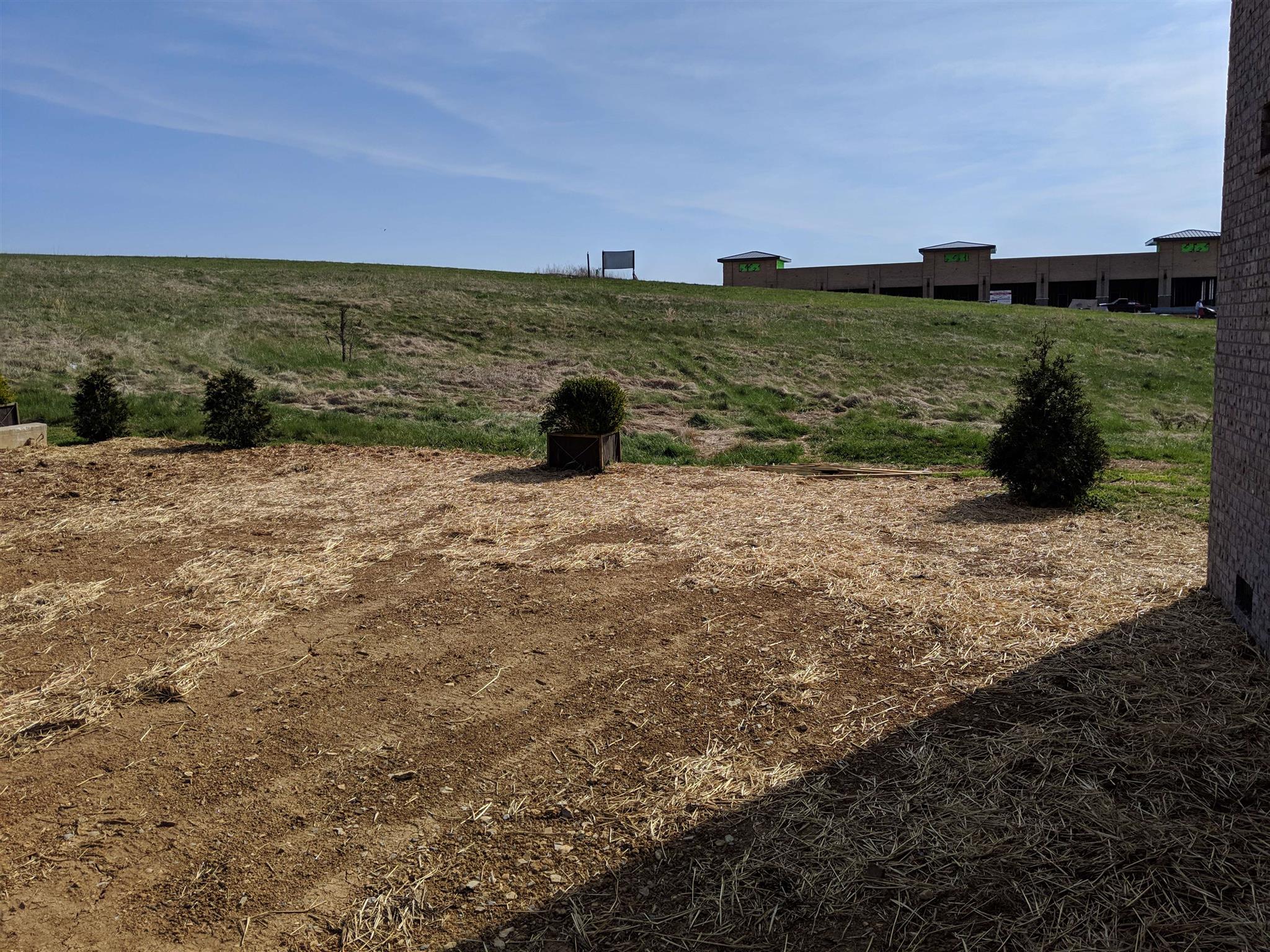1004 Red Pepper Ridge Spring Hill, TN 37174 - Photo 24 of 27 Landscaping in place for more privacy