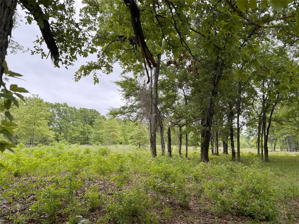 Lot 25 Rains County Road 2610 Alba, TX 75410 - Photo 10 of 14 a view of outdoor space with a garden