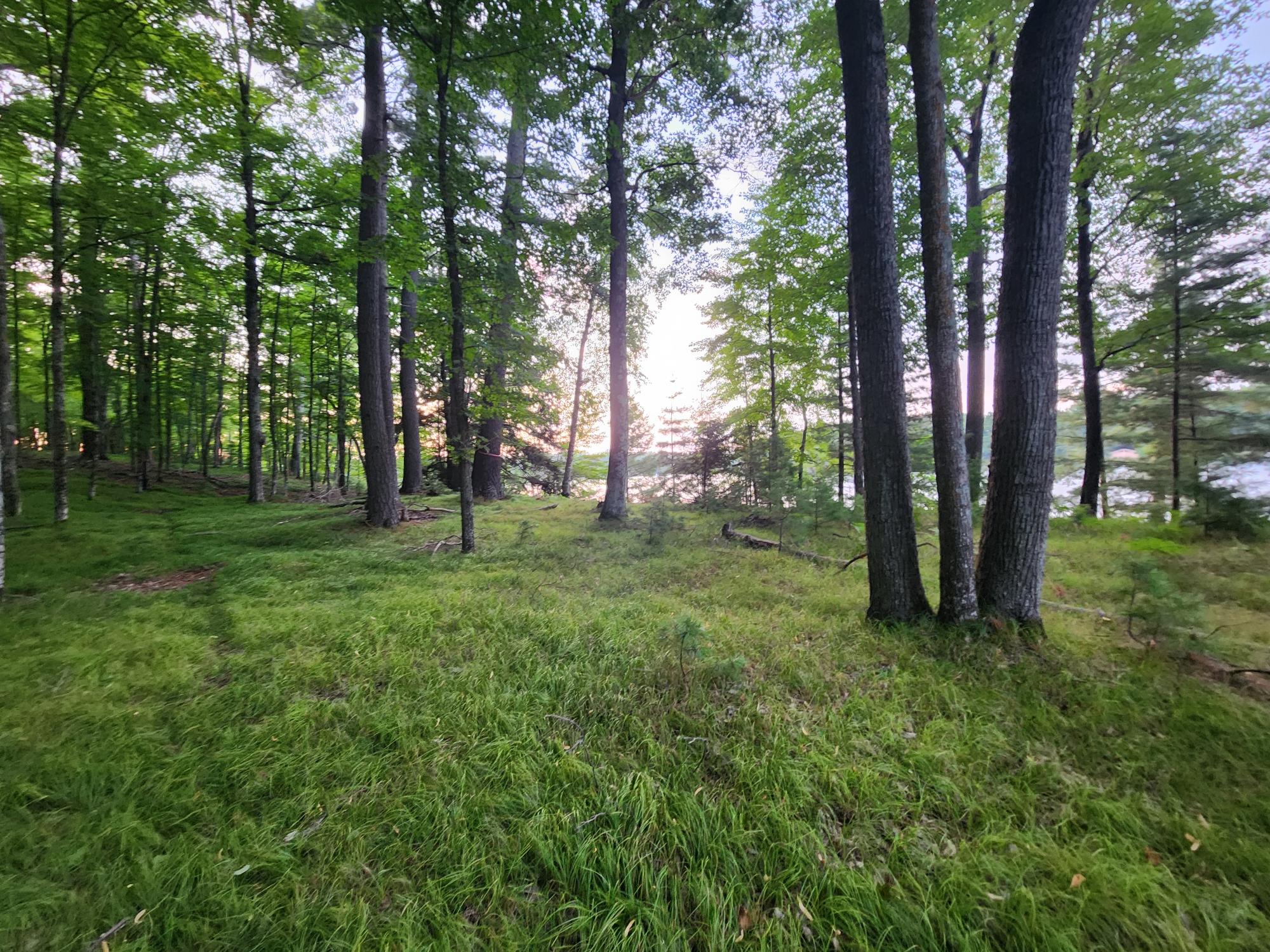 Lot 3 Big Ripley Island Minocqua, WI 54548 - Photo 12 of 20 Gallery Image 12