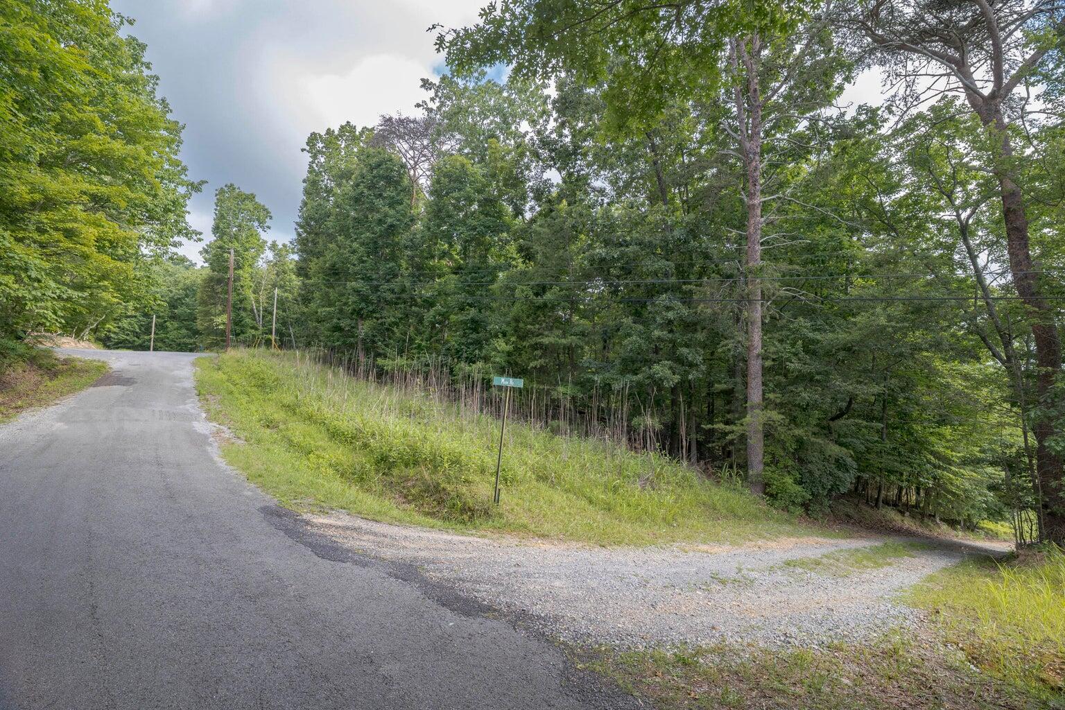 Lot 165 Maple Drive Spring City, TN 37381 - Photo 5 of 8 5