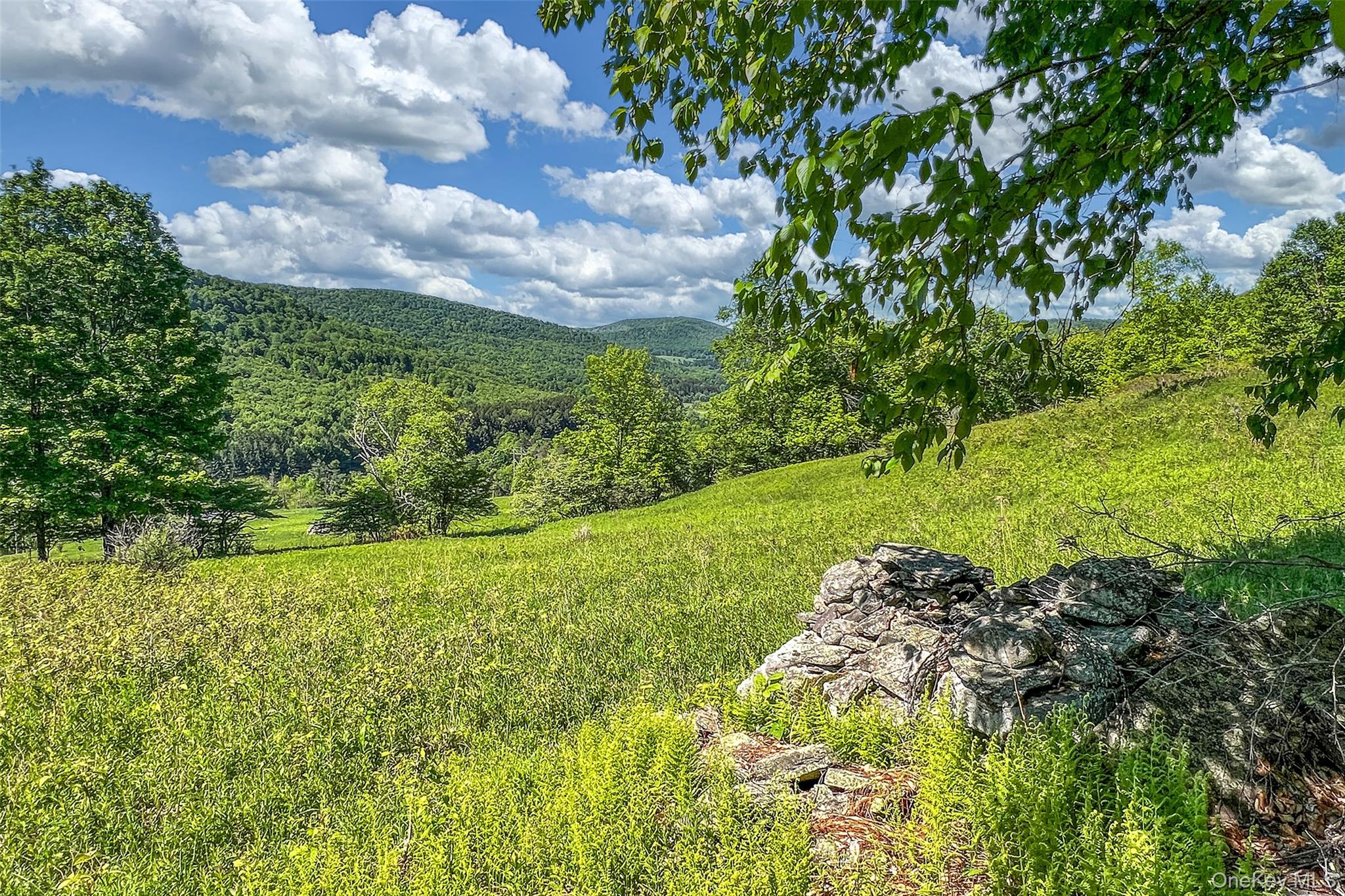 26 Federal Hill 2 Road Delhi, NY 13753 - Photo 31 of 50
