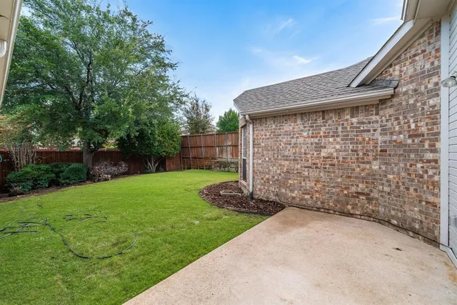 a view of a backyard with plants and large trees