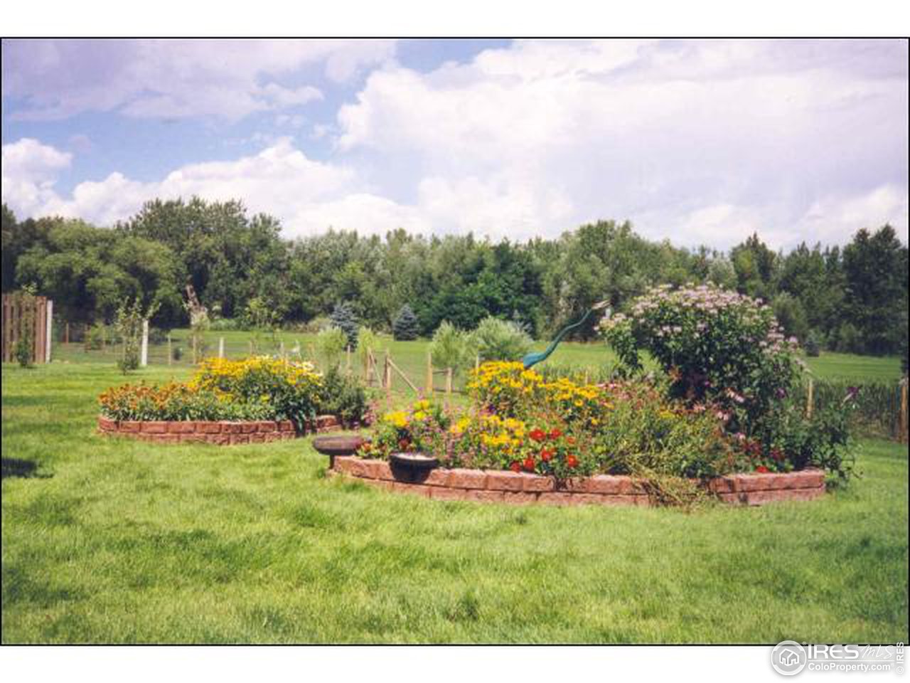 5599 Niwot Road Niwot, CO 80503 - Photo 3 of 11 Gallery Image 3