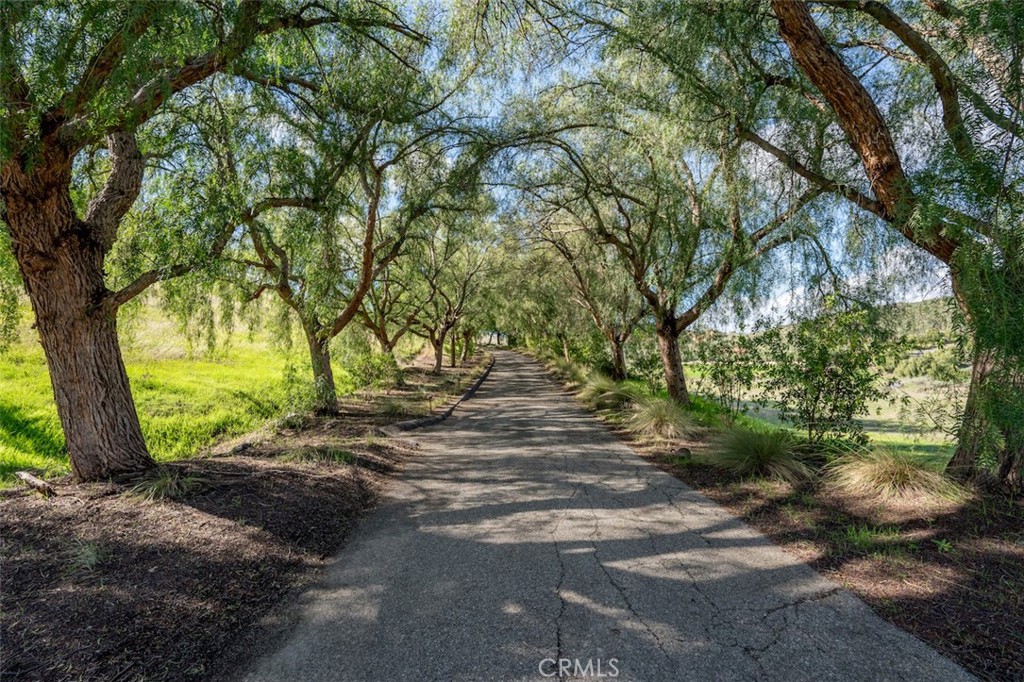 13248 Nightsky Drive Camarillo, CA 93012 - Photo 5 of 53 a view of a trees with yard