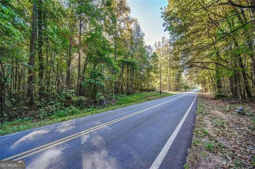 784 Old Mill Road, Unit 28 Ball Ground, GA 30107 - Photo 1 of 1 Gallery Image 1