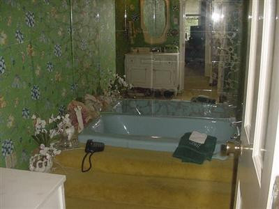 2795 Hume Bedford Road Georgetown, KY 40324 - Photo 18 of 20 Sunken tub