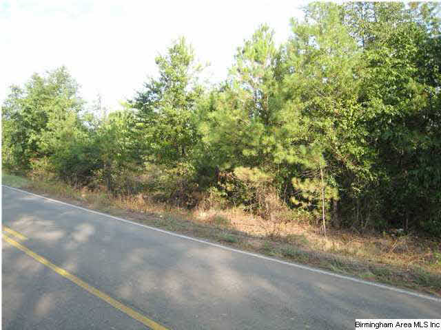Howell Cove Road Talladega, AL 35160 - Photo 5 of 9