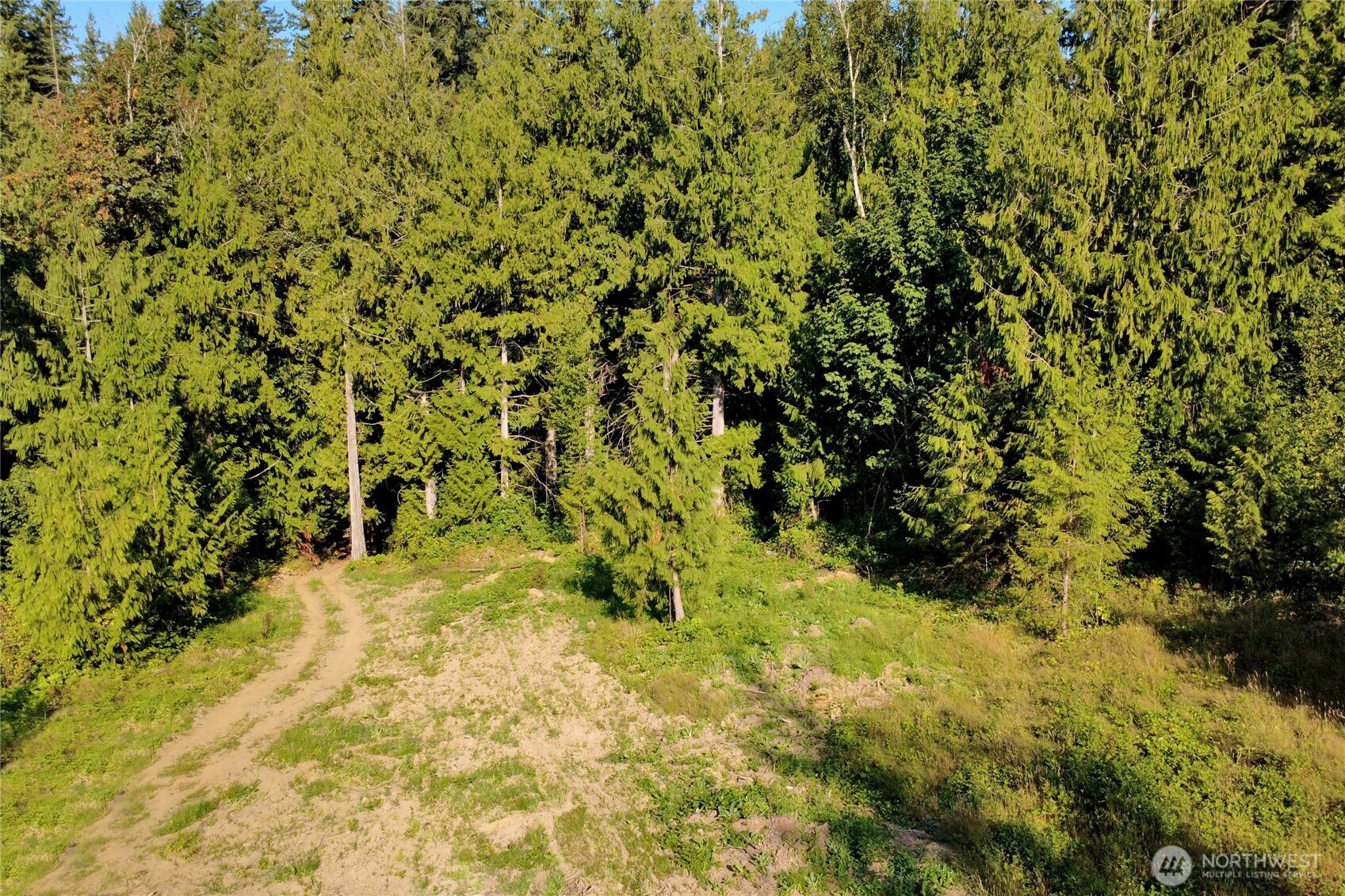 0 North Pass Road Everson, WA 98247 - Photo 12 of 23 Gallery Image 12