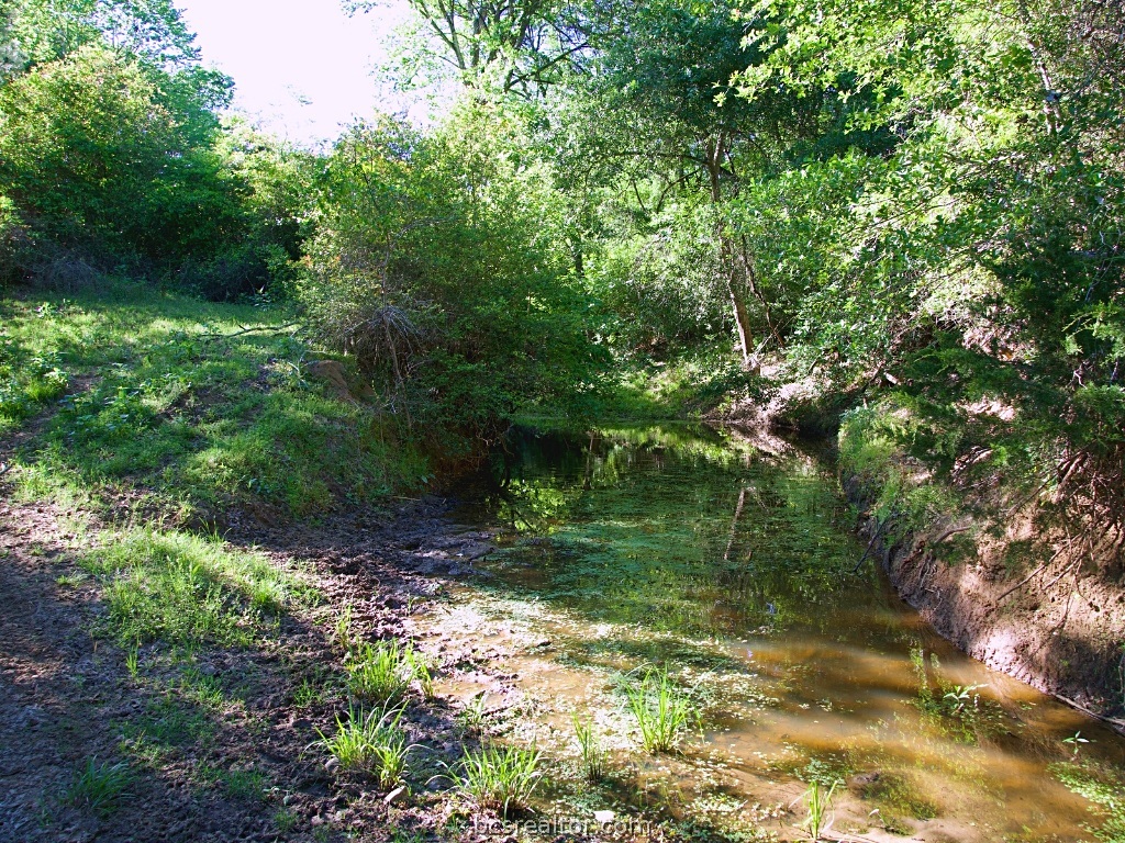 8 & 13) Road Paige, TX 78659 - Photo 10 of 22 Gallery Image 10