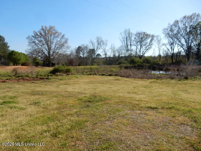 151 Barkwood Road Carthage, MS 39051 - Photo 30 of 33 2026-03-20 22.17.06
