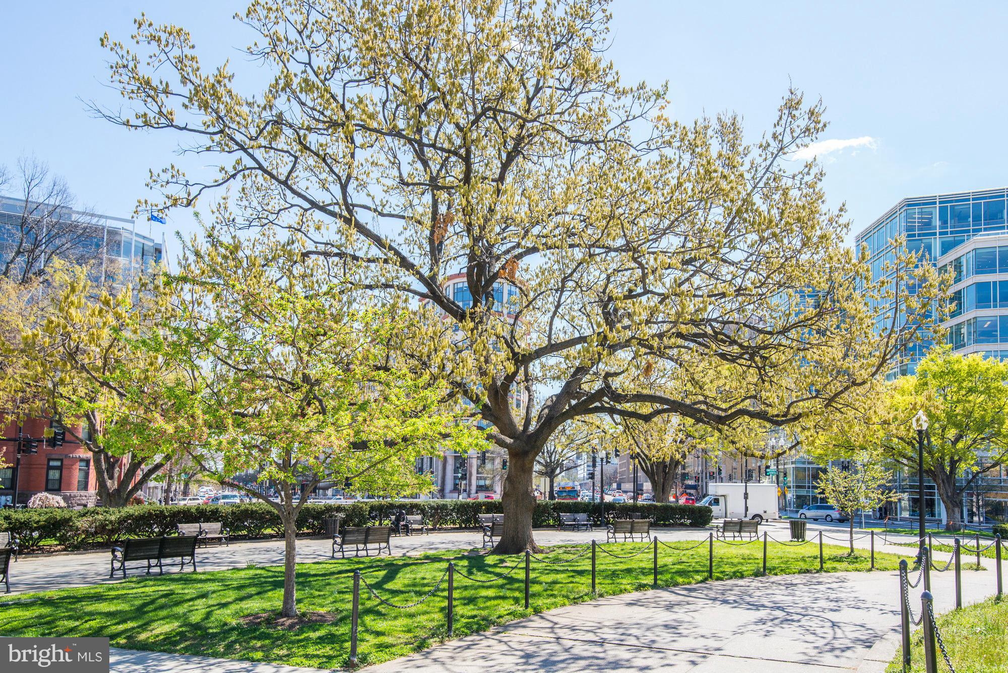 3 Washington Circle Northwest, Unit 103 Washington, DC 20037 - Photo 23 of 28 a view of a yard with a tree
