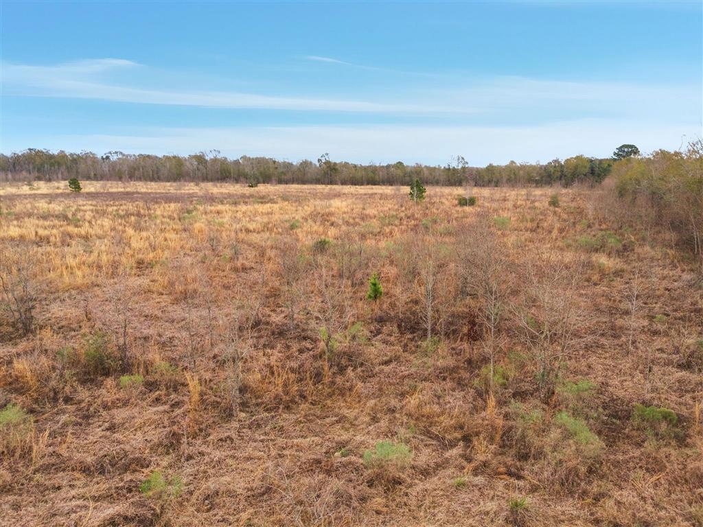 1 Walker Road Reeves, LA 70658 - Photo 10 of 10