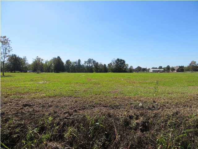 0 Clarence Cormier Road Carencro, LA 70520 - Photo 3 of 3 Additional Photo