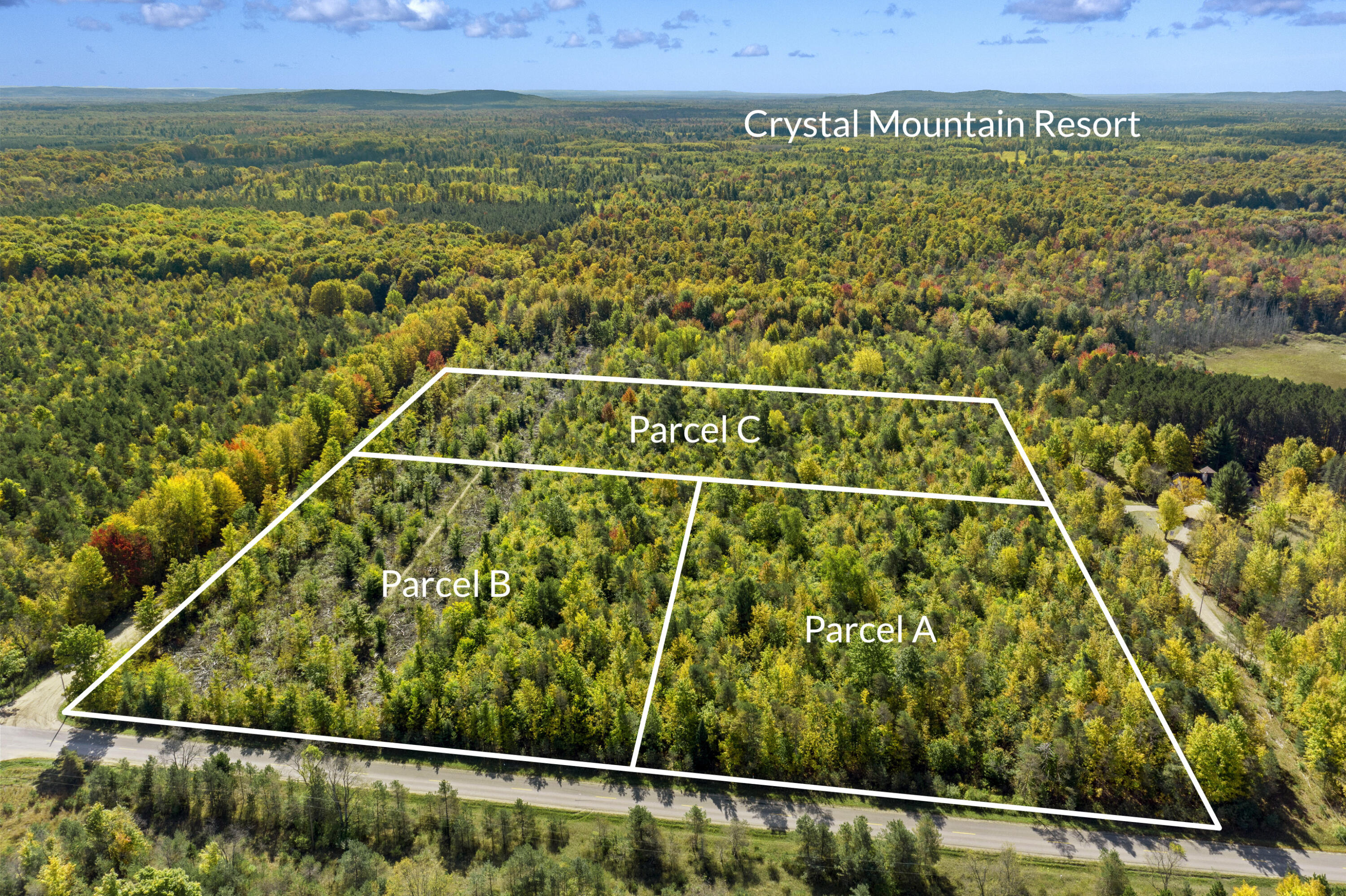 Parcel A Parcel A Homestead Road Beulah, MI 49617 - Photo 4 of 8 DJI_0272_1