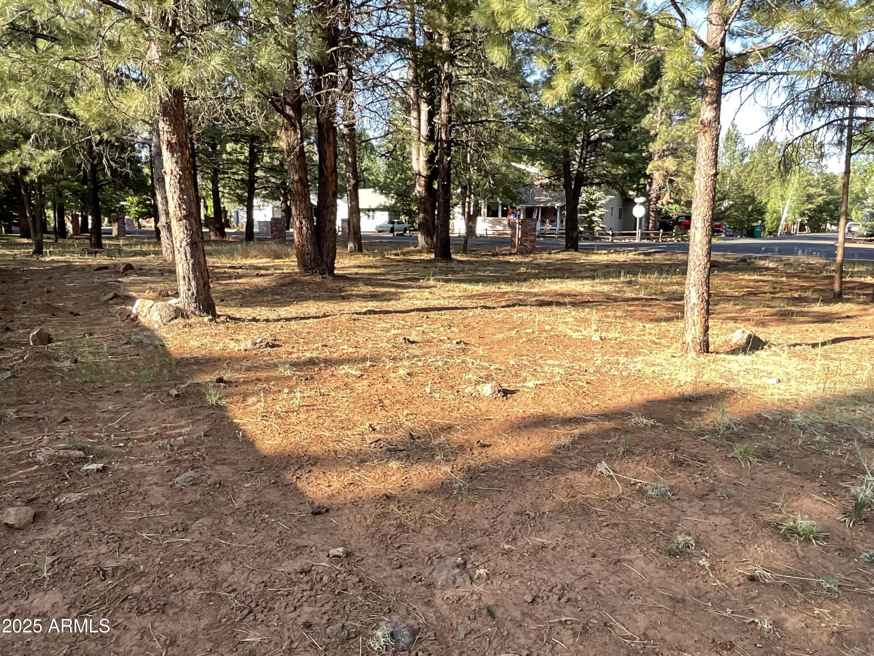 5151 Saddle Strap Way, Unit 44 Pinetop, AZ 85935 - Photo 5 of 7 a view of road with trees