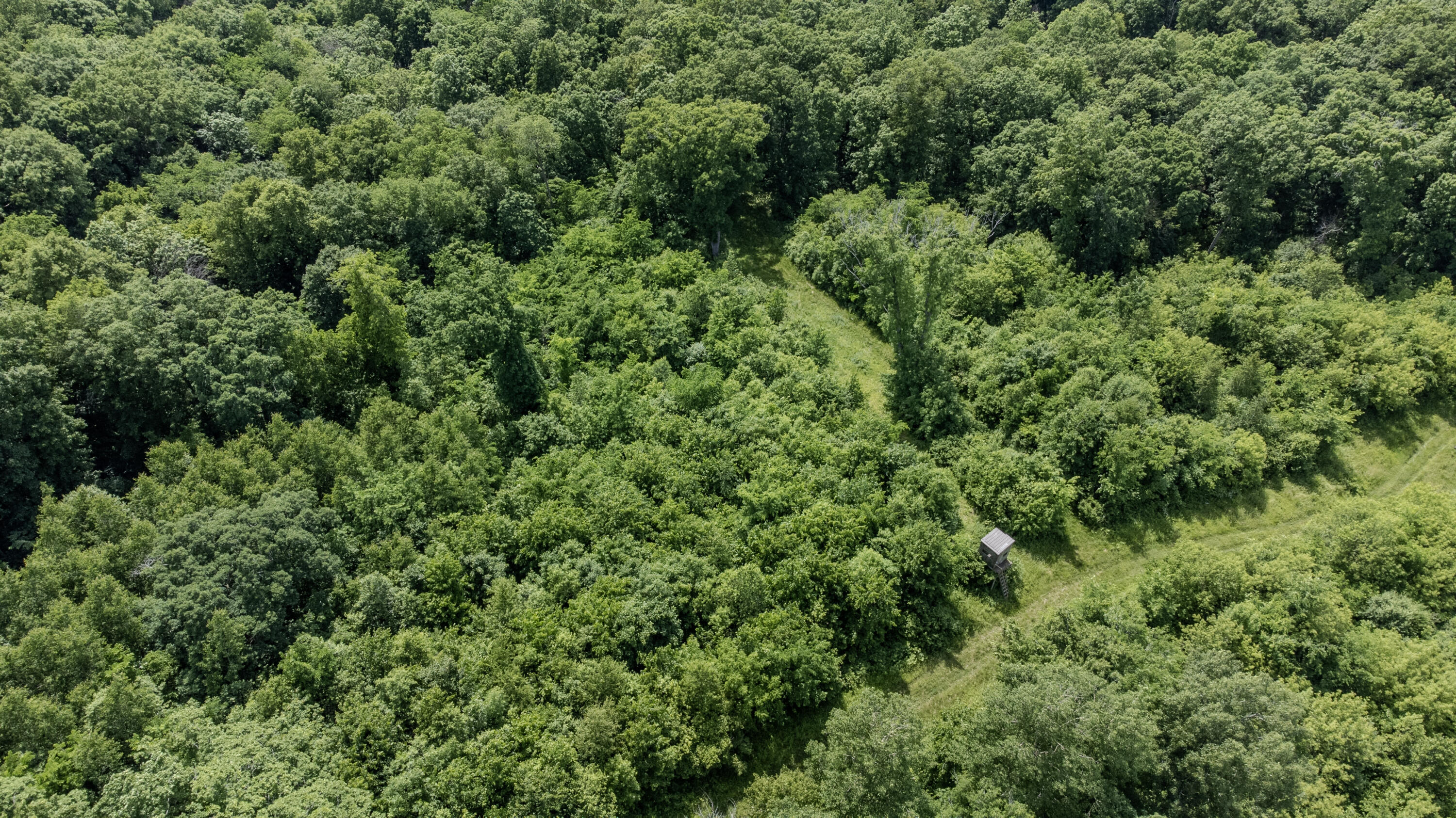 0 Dopp Road Galesville, WI 54630 - Photo 7 of 65 109-DJI_0699
