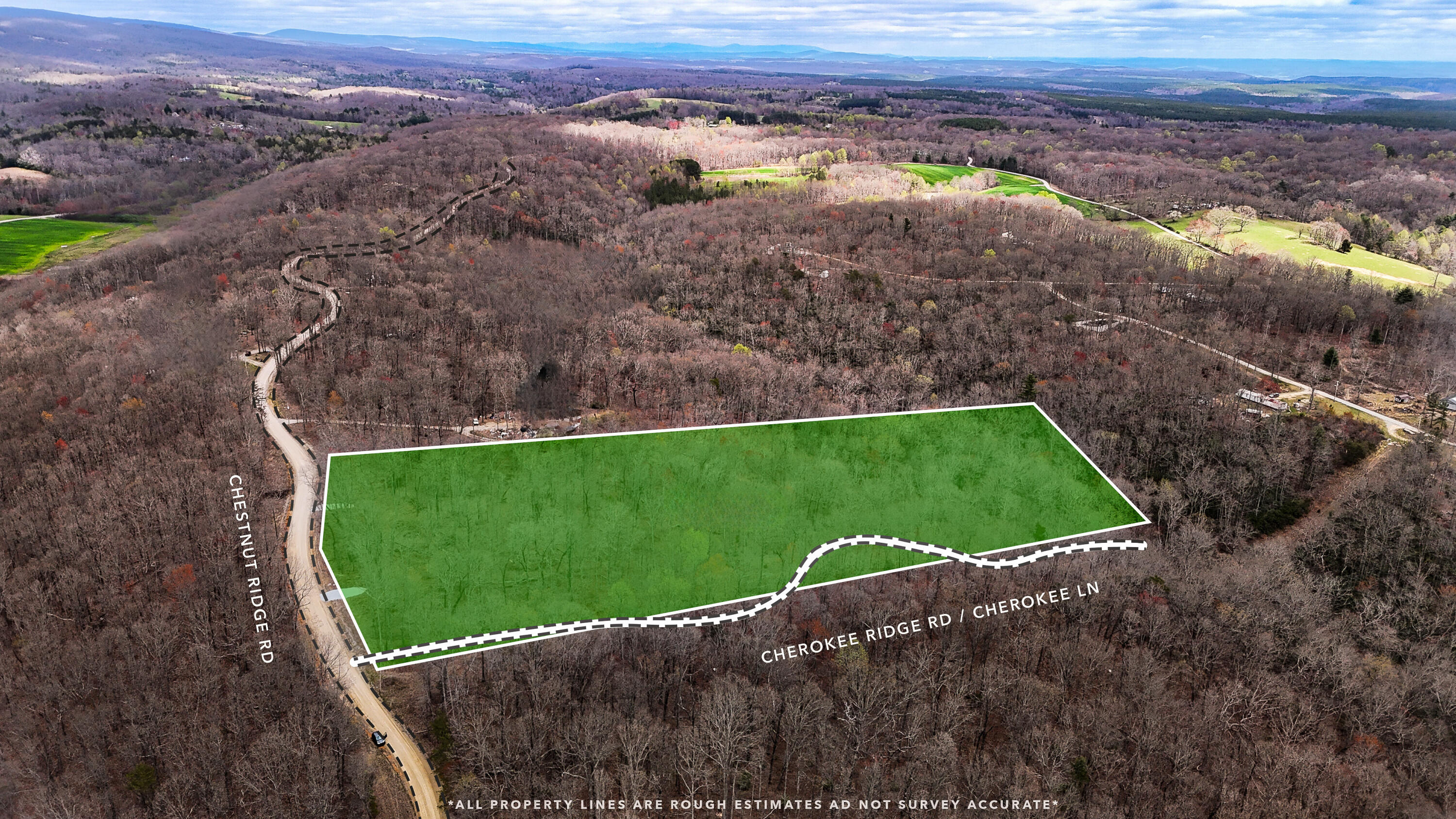 1139 Chestnut Ridge Road Spring City, TN 37381 - Photo 2 of 11 99e263e8-1a1f-46c4-8807-d30579f893a3