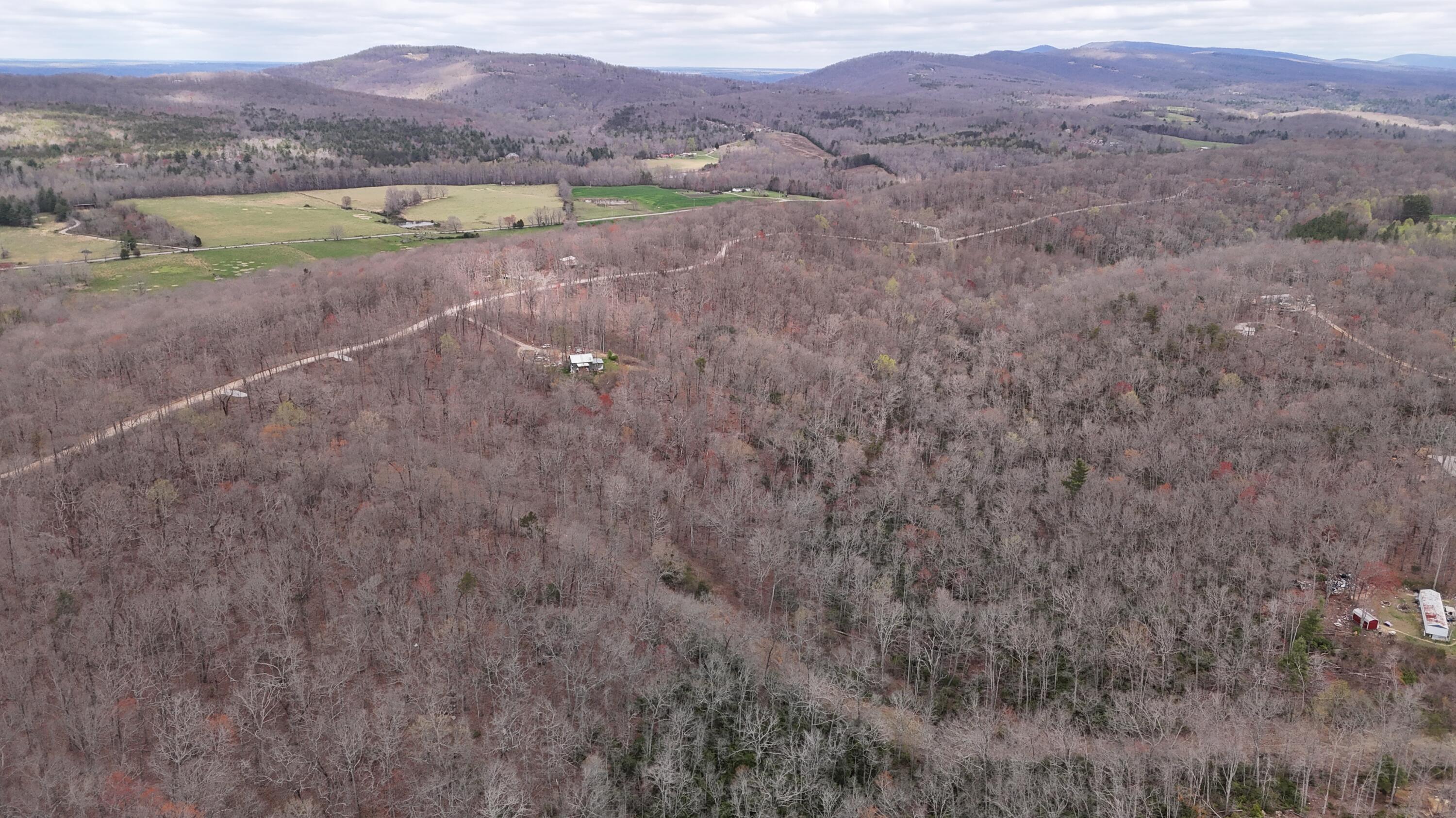 1139 Chestnut Ridge Road Spring City, TN 37381 - Photo 3 of 11 3