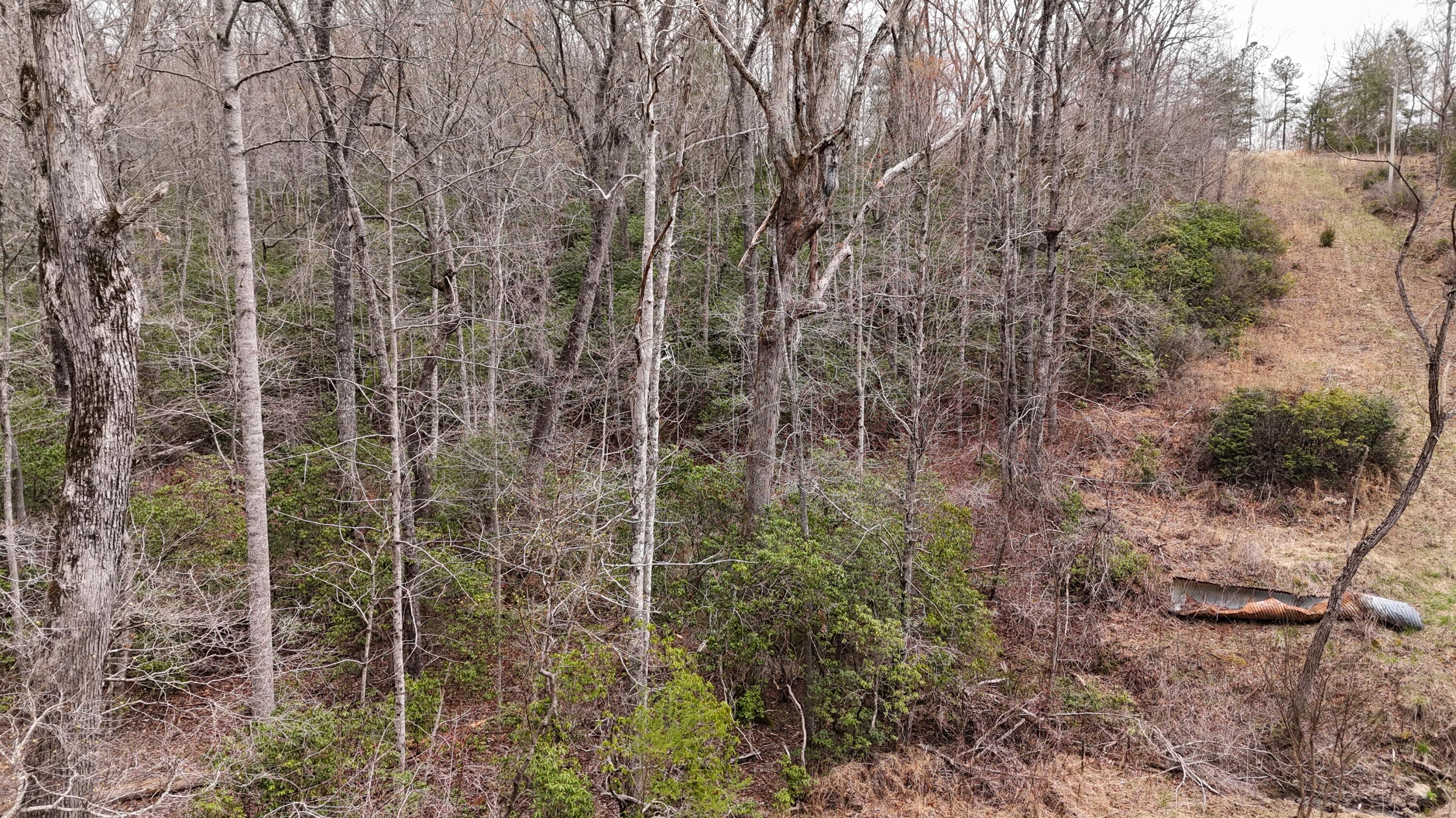 1139 Chestnut Ridge Road Spring City, TN 37381 - Photo 5 of 11 5