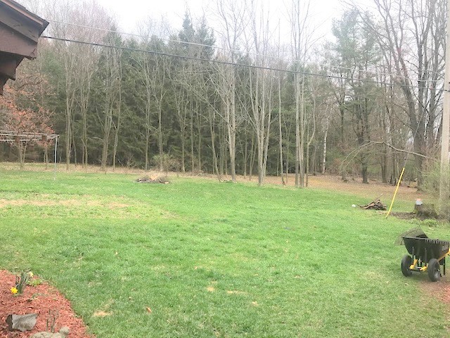 80 Harnecky Road Newark Valley, NY 13811 - Photo 27 of 29