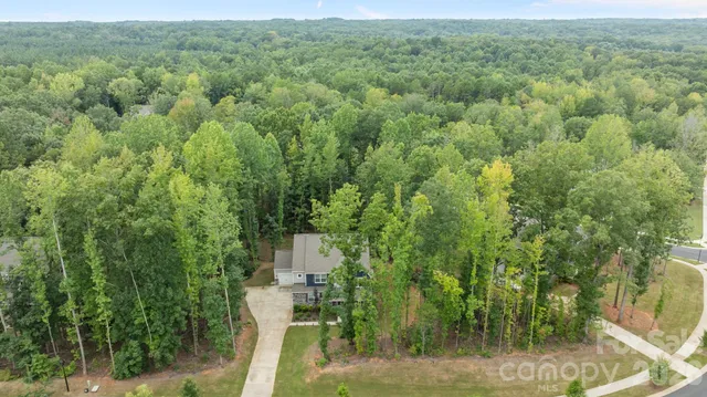 a view of a forest with a sink