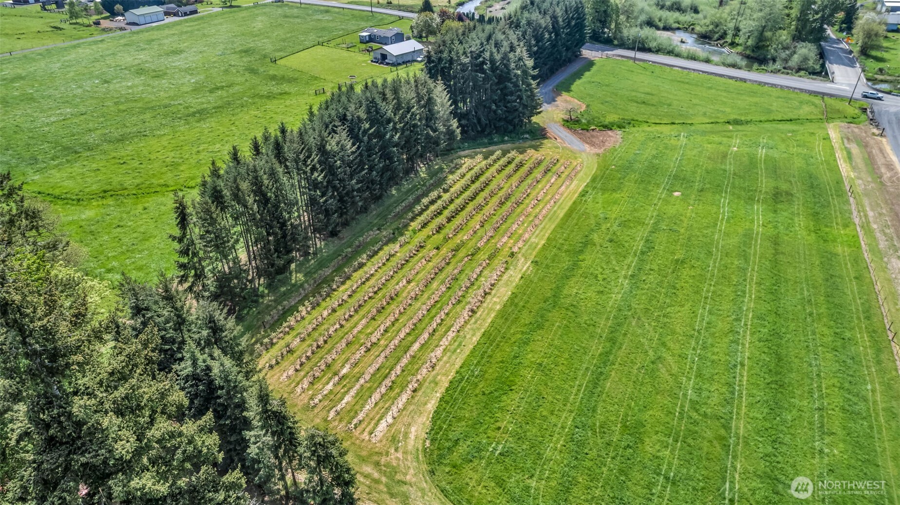 761 Highway 508 Chehalis, WA 98532 - Photo 13 of 17