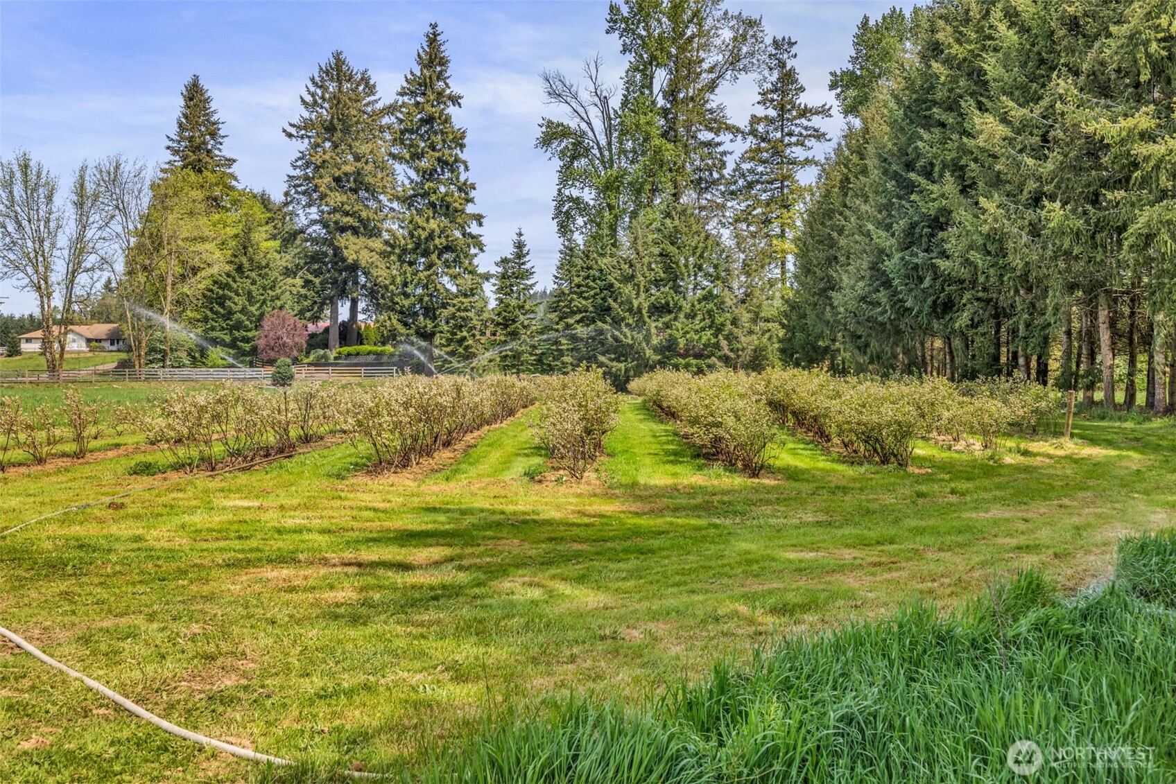761 Highway 508 Chehalis, WA 98532 - Photo 17 of 17