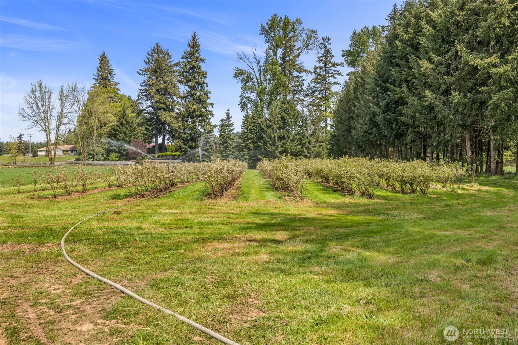 761 Highway 508 Chehalis, WA 98532 - Photo 3 of 17