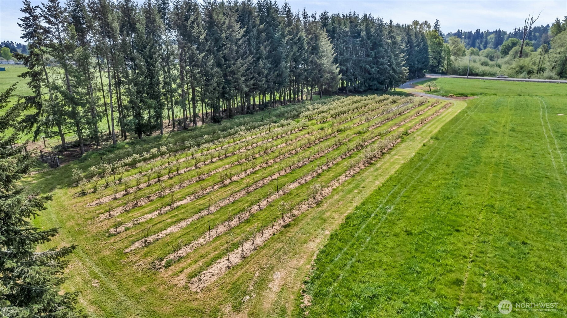 761 Highway 508 Chehalis, WA 98532 - Photo 4 of 17
