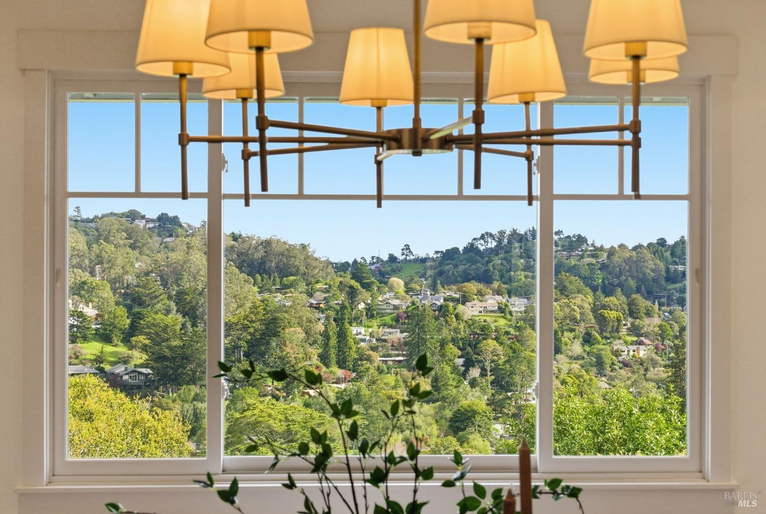 711 Forest Way Mill Valley, CA 94941 - Photo 13 of 58