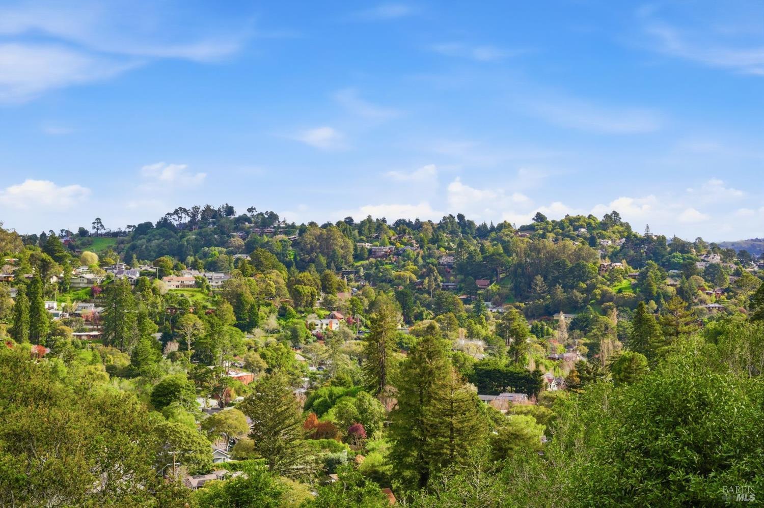 711 Forest Way Mill Valley, CA 94941 - Photo 14 of 58