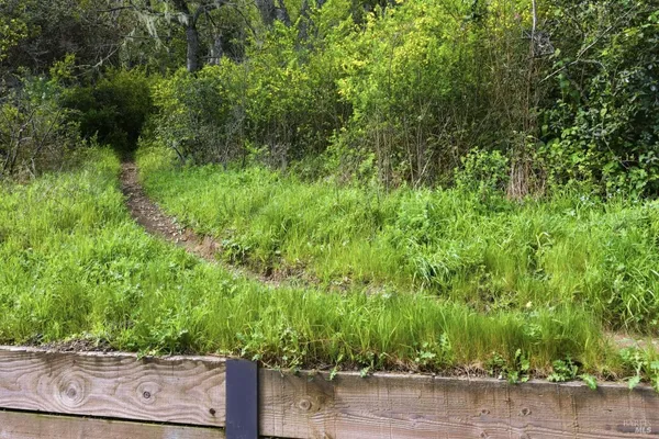 $3,850,000 | 711 Forest Way, Mill Valley, CA 94941