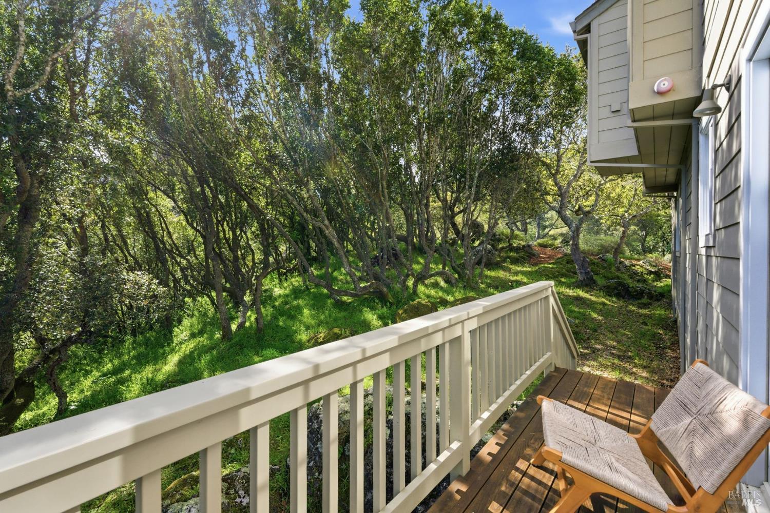 711 Forest Way Mill Valley, CA 94941 - Photo 56 of 58